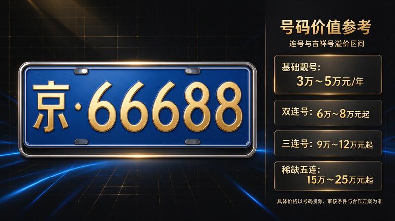 新能源牌照政策